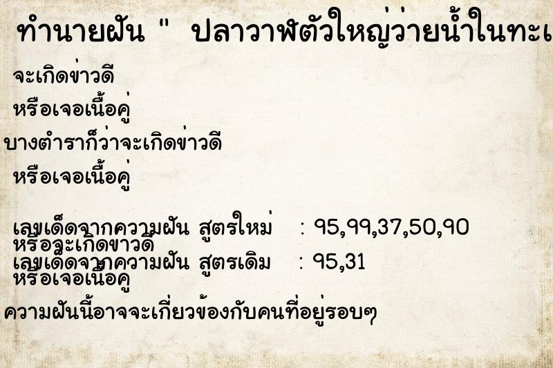 ทำนายฝันทำนายฝัน ปลาวาฬตัวใหญ่ว่ายน้ำในทะเล